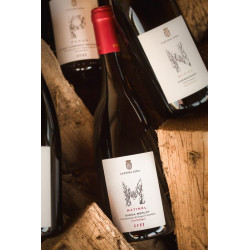 Merlot MATINEL Cantina Loda...