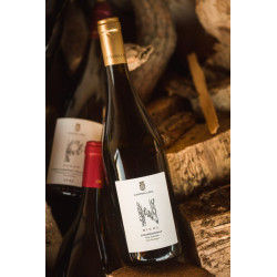 Chardonnay  NICOL Cantina...
